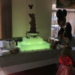 Chocolate Fountain at an 18th Birthday Party.